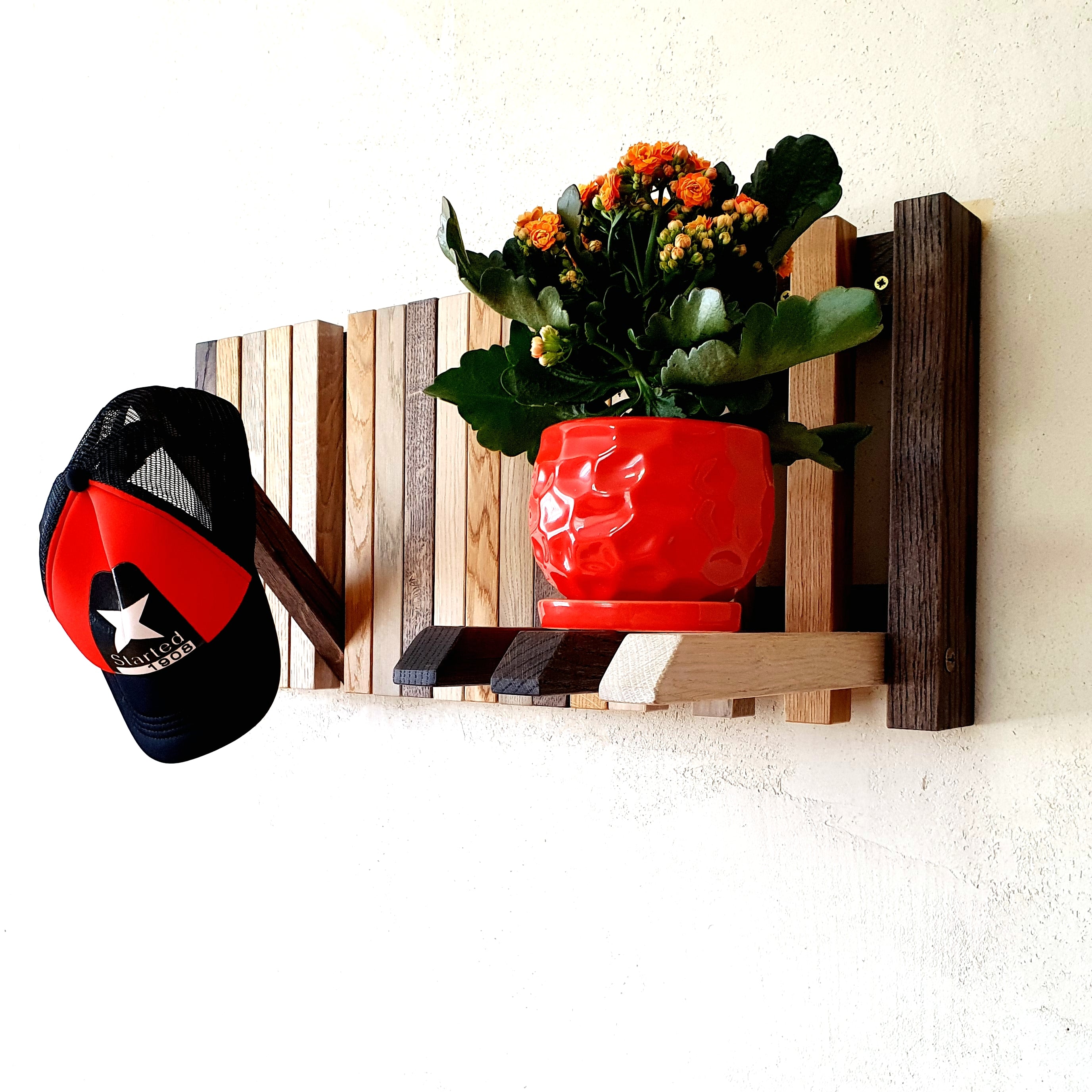 Wall-mounted organizer. natural oak.colored